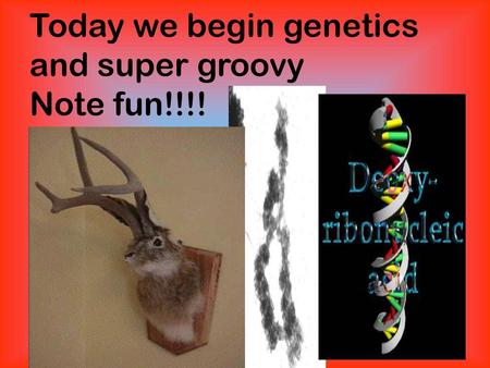 Today we begin genetics and super groovy