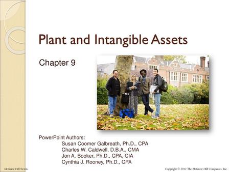 Plant and Intangible Assets