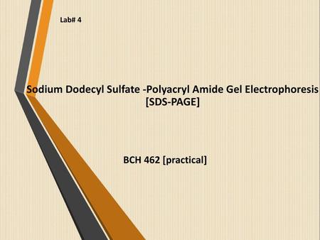 Sodium Dodecyl Sulfate -Polyacryl Amide Gel Electrophoresis [SDS-PAGE]