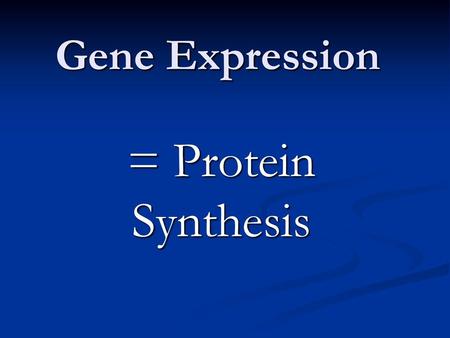 Gene Expression = Protein Synthesis.