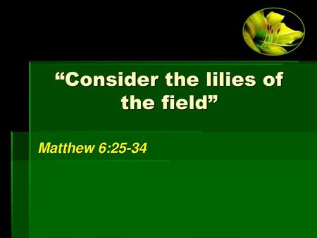 “Consider the lilies of the field”
