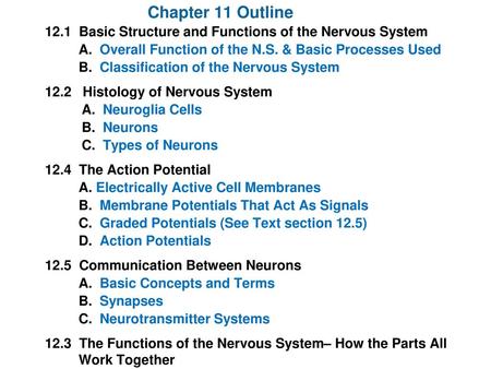 Chapter 11 Outline 12.1 Basic Structure and Functions of the Nervous System A. Overall Function of the N.S. & Basic Processes Used B. Classification.