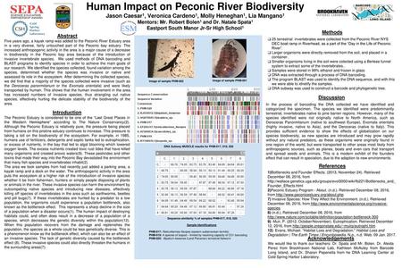 Human Impact on Peconic River Biodiversity