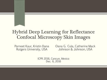 Hybrid Deep Learning for Reflectance Confocal Microscopy Skin Images