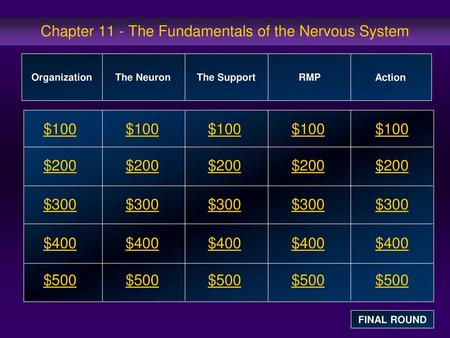 Chapter 11 - The Fundamentals of the Nervous System
