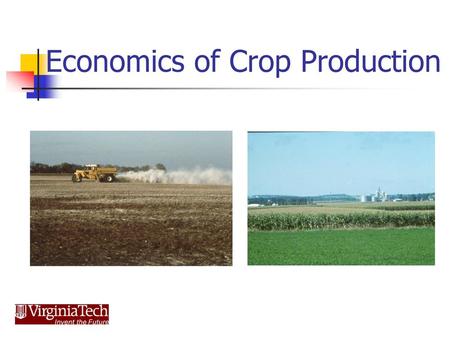 Economics of Crop Production