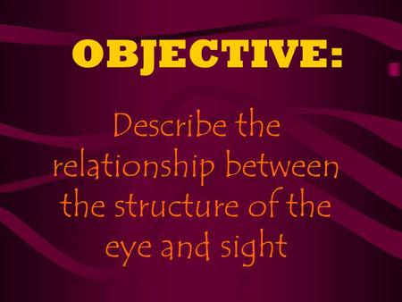 Describe the relationship between the structure of the eye and sight