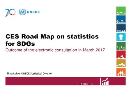 CES Road Map on statistics for SDGs