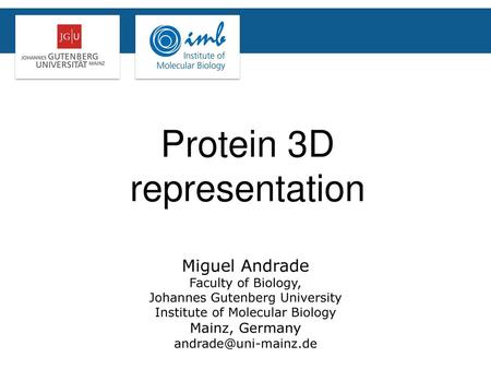 Protein 3D representation