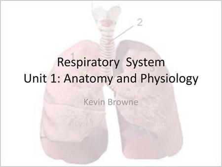 Respiratory System Unit 1: Anatomy and Physiology