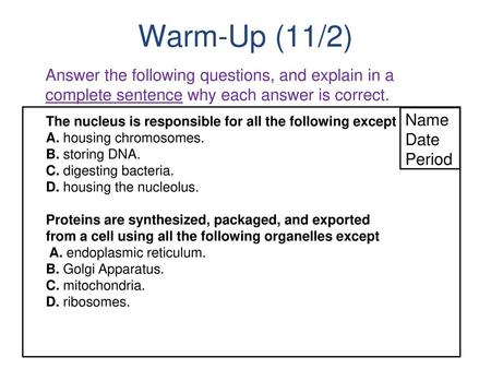 Warm-Up (11/2) Answer the following questions, and explain in a complete sentence why each answer is correct. Name Date Period The nucleus is responsible.