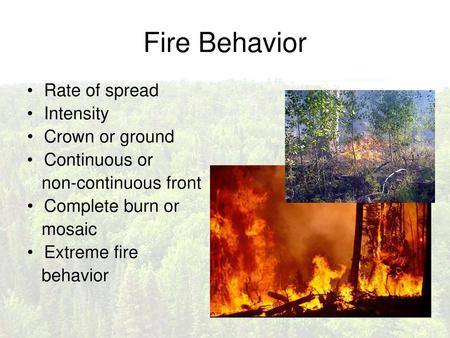 Fire Behavior Rate of spread Intensity Crown or ground Continuous or