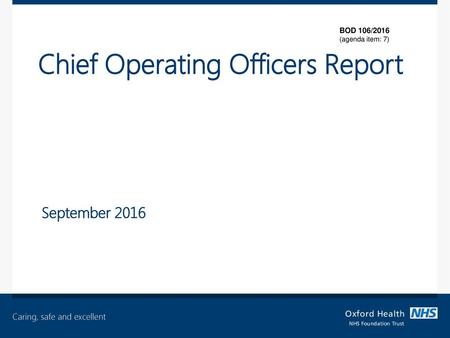 Chief Operating Officers Report