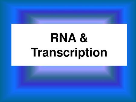 RNA & Transcription.