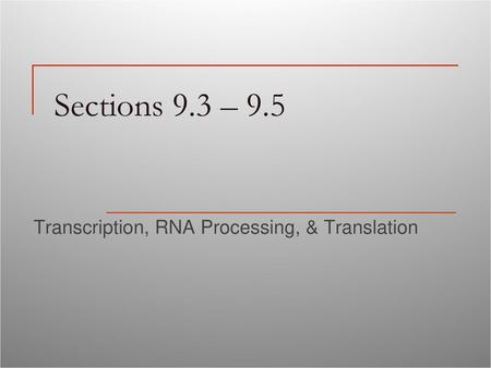 Transcription, RNA Processing, & Translation