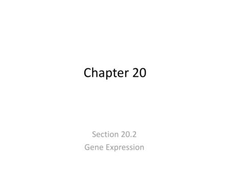 Section 20.2 Gene Expression