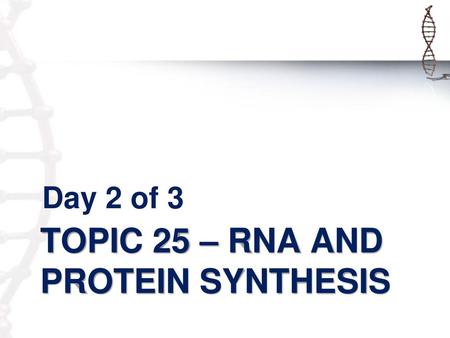 Topic 25 – RNA and protein synthesis