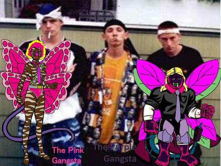 The Purple Gangsta The Pink Gangsta.