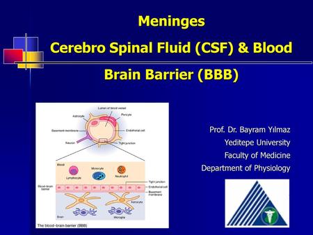 Meninges Cerebro Spinal Fluid (CSF) & Blood Brain Barrier (BBB)