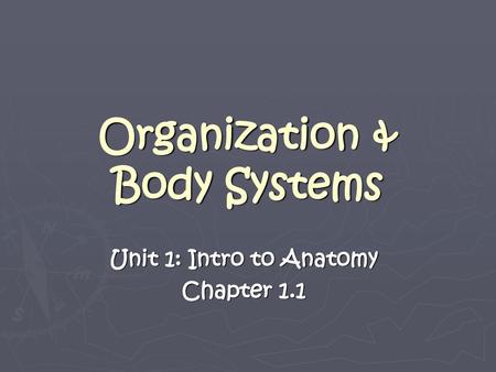 Organization & Body Systems