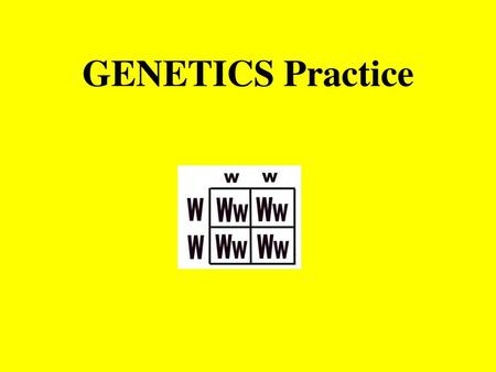 GENETICS Practice.