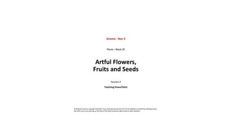 Artful Flowers, Fruits and Seeds