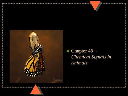Chapter 45 ~ Chemical Signals in Animals