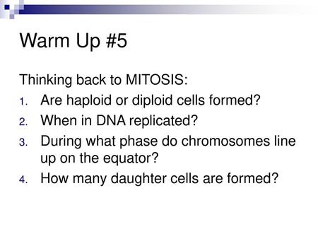 Warm Up #5 Thinking back to MITOSIS: