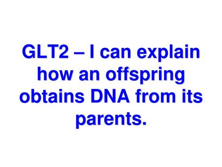 GLT2 – I can explain how an offspring obtains DNA from its parents.
