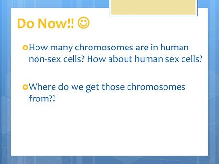 Do Now!!  How many chromosomes are in human non-sex cells? How about human sex cells? Where do we get those chromosomes from??