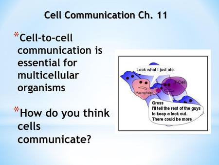 How do you think cells communicate?