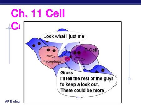 Ch. 11 Cell Communication.