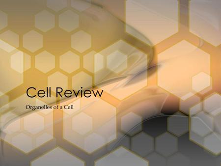 Cell Review Organelles of a Cell.