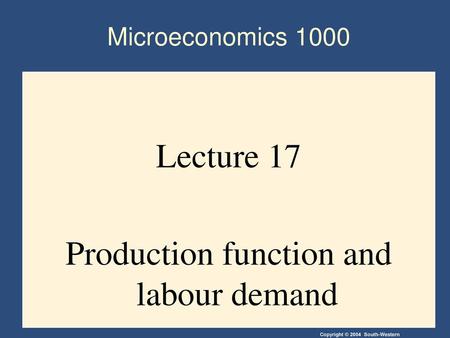 Lecture 17 Production function and labour demand