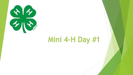 Mini 4-H Day #1.