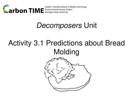 Decomposers Unit Activity 3.1 Predictions about Bread Molding