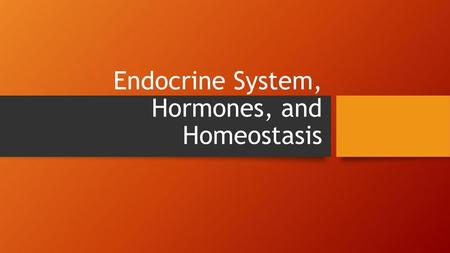 Endocrine System, Hormones, and Homeostasis