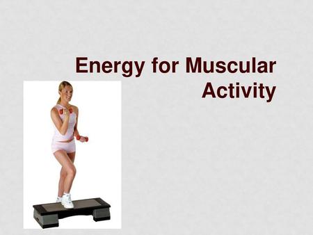 Energy for Muscular Activity