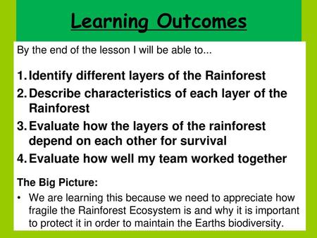 Learning Outcomes Identify different layers of the Rainforest