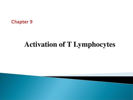 Activation of T Lymphocytes