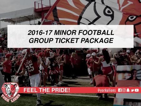MINOR FOOTBALL GROUP TICKET PACKAGE