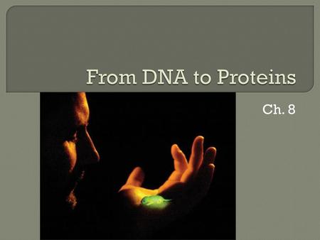 From DNA to Proteins Ch. 8.
