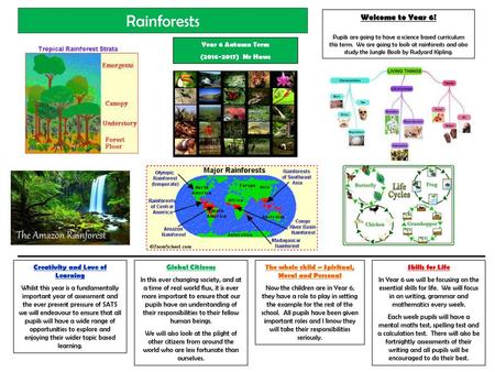 Rainforests Welcome to Year 6! Year 6 Autumn Term ( ) Mr Haws