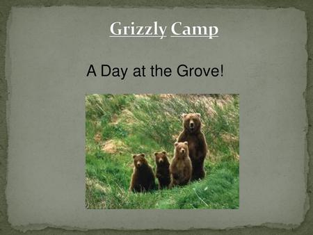 A Day at the Grove! Grizzly Camp.