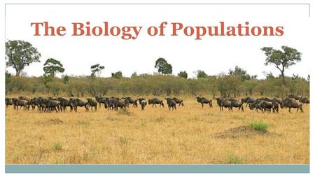 The Biology of Populations