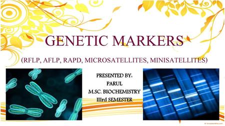 GENETIC MARKERS (RFLP, AFLP, RAPD, MICROSATELLITES, MINISATELLITES)