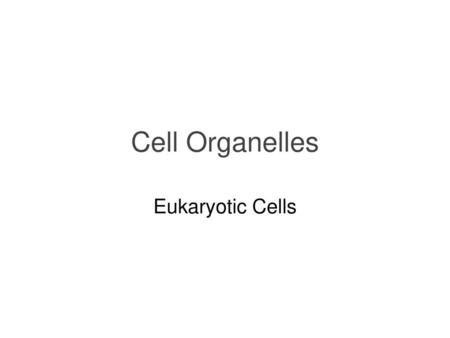 Cell Organelles Eukaryotic Cells.