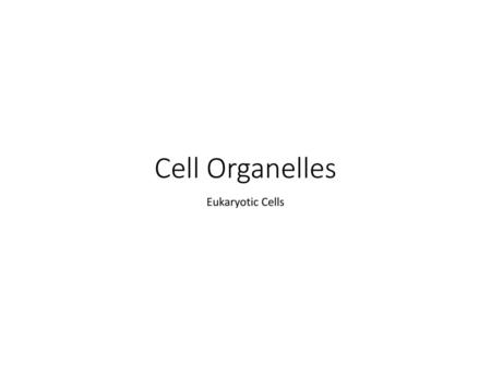 Cell Organelles Eukaryotic Cells.