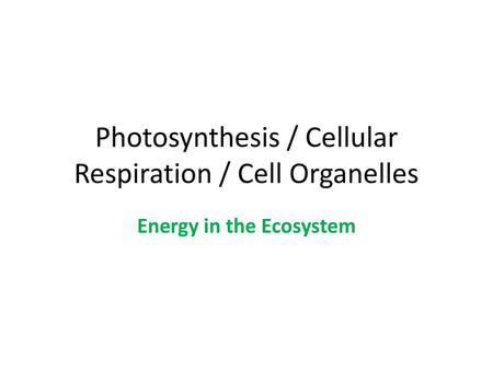 Photosynthesis / Cellular Respiration / Cell Organelles
