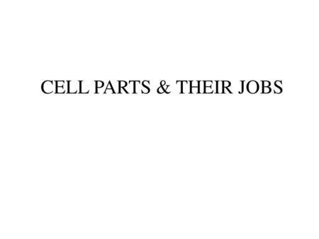 CELL PARTS & THEIR JOBS.